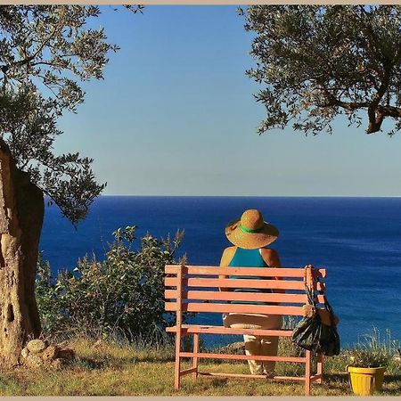 Villa Pierina Finale Ligure Dış mekan fotoğraf