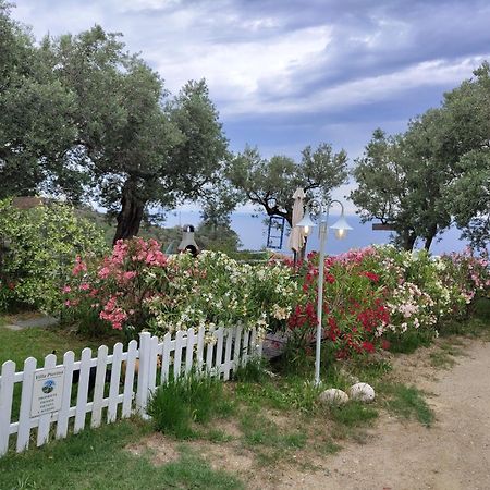 Villa Pierina Finale Ligure Dış mekan fotoğraf