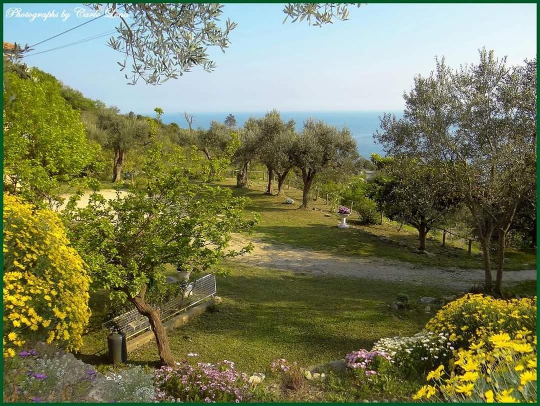 Villa Pierina Finale Ligure Dış mekan fotoğraf
