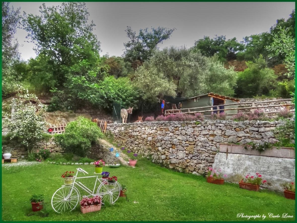 Villa Pierina Finale Ligure Dış mekan fotoğraf