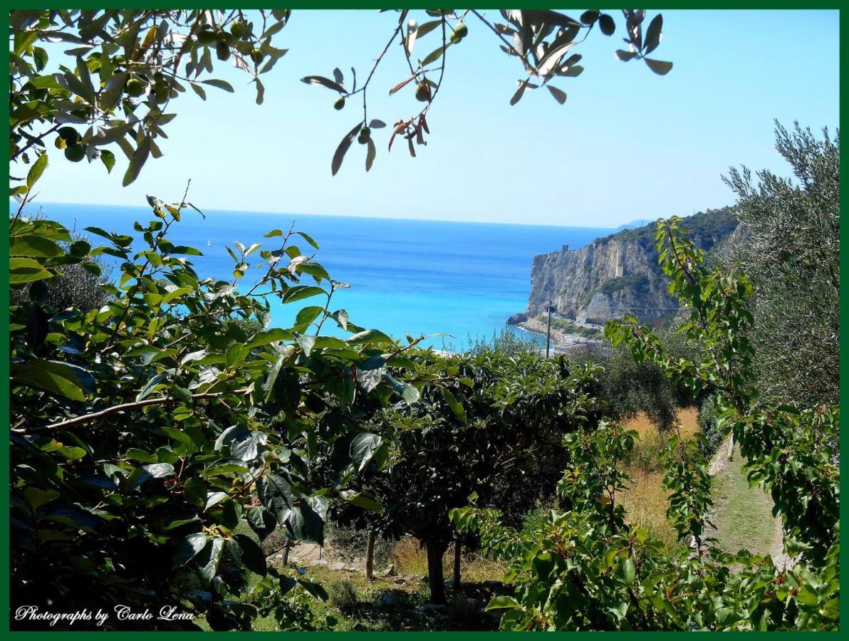 Villa Pierina Finale Ligure Dış mekan fotoğraf