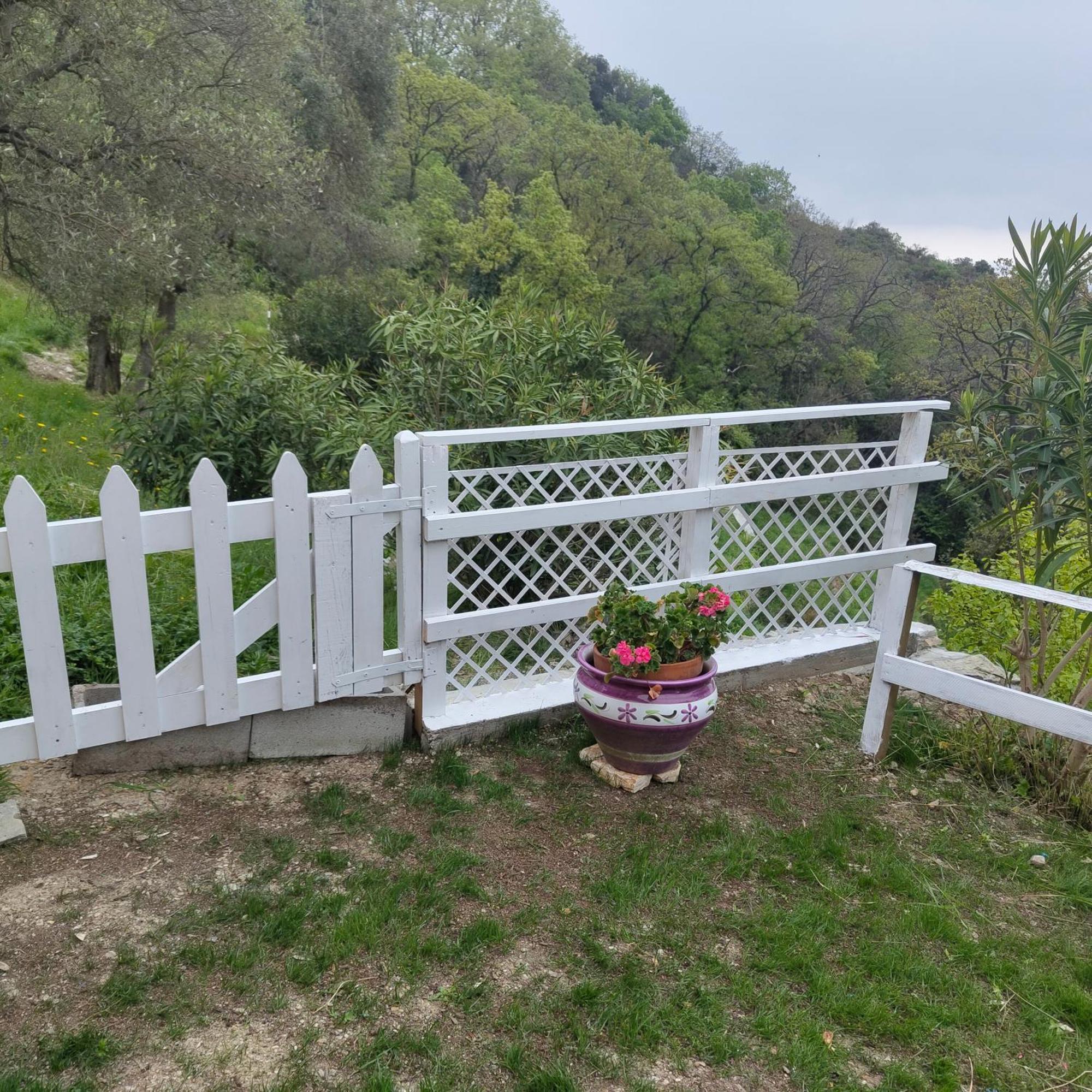 Villa Pierina Finale Ligure Dış mekan fotoğraf