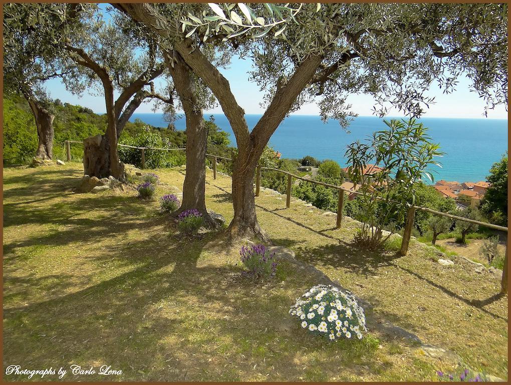 Villa Pierina Finale Ligure Dış mekan fotoğraf